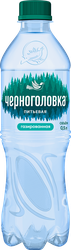 Вода питьевая ЧЕРНОГОЛОВСКАЯ газированная, 0.5л, вид