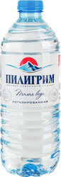 Вода минеральная ПИЛИГРИМ негазированная, 0,5л, изображение