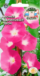 Семена Ипомея Малиновый звон, картинка