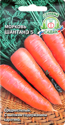 Семена Морковь Шантанэ 5, вид