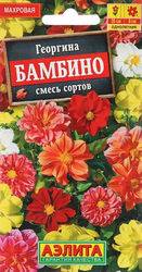 Семена Георгина Миньон, картинка