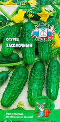 Семена Огурец Засолочный, фото