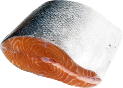 Лосось Атлантический, кусок, весовой, крупный план