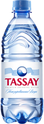 Вода питьевая TASSAY негазированная, 0.5л, детальное фото