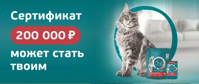 11.05.-15.06 Акция Пурина