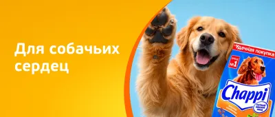 Корма, вкусняшки, игрушки