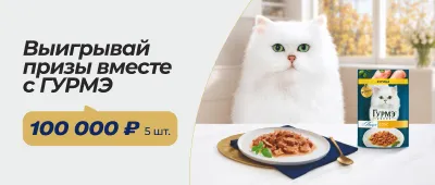 Выигрывай призы