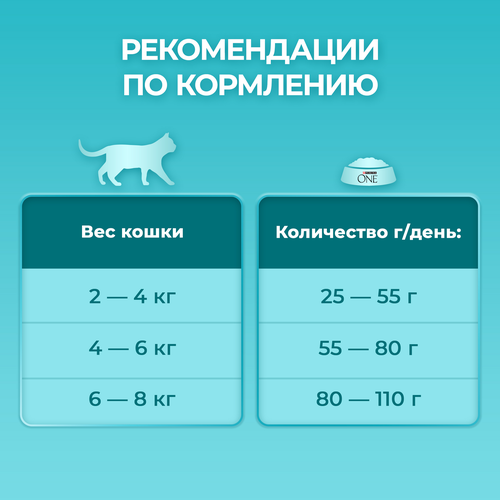 Корм сухой для взрослых кошек PURINA ONE Housecat с индейкой и цельными злаками, 750г, картинка