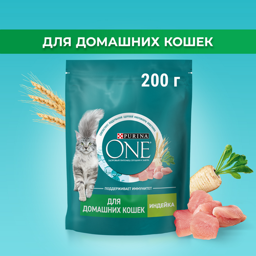 Корм сухой для взрослых кошек PURINA ONE Housecat с индейкой и цельными злаками, 200г, фото
