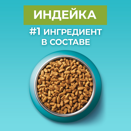 Корм сухой для взрослых кошек PURINA ONE Housecat с индейкой и цельными злаками, 200г, детальное фото