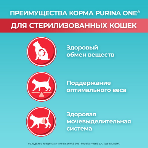 Корм сухой для взрослых кошек PURINA ONE Sterilised с говядиной и пшеницей для стерилизованных, 750г, вид