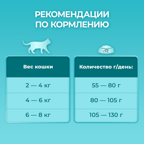 Корм сухой для взрослых кошек PURINA ONE Sterilised с говядиной и пшеницей для стерилизованных, 750г, фотография