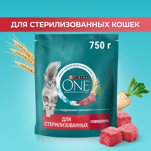 Корм сухой для взрослых кошек PURINA ONE Sterilised с говядиной и пшеницей для стерилизованных, 750г, крупный план