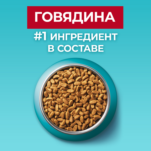 Корм сухой для взрослых кошек PURINA ONE Sterilised с говядиной и пшеницей для стерилизованных, 750г, детальное фото