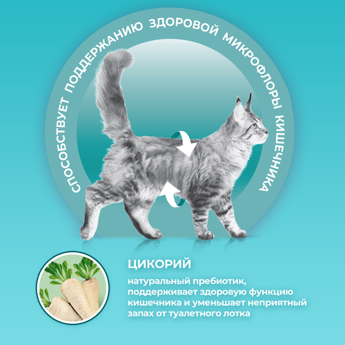 Корм сухой для взрослых кошек PURINA ONE Sterilised с говядиной и пшеницей для стерилизованных, 750г, фото