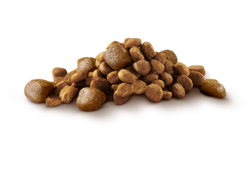 Корм сухой для взрослых собак PURINA ONE Mini Активная Курица и рис, 600г, фотография