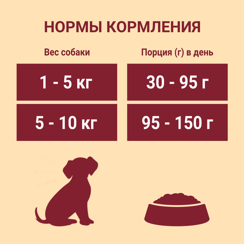 Корм сухой для взрослых собак PURINA ONE Mini Активная Курица и рис, 600г, вид