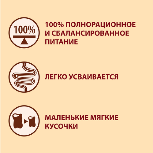 Корм сухой для взрослых собак PURINA ONE Mini Активная Курица и рис, 600г, изображение
