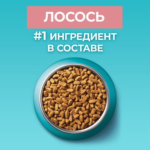 Корм сухой для взрослых кошек PURINA ONE Sterilised с лососем и пшеницей, для стерилизованных, 1,5кг, фотография