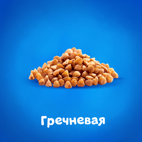 Кашка гречневая детская АГУША Засыпай-ка молочная 2,5%, с 6 месяцев, 200мл, детальное фото
