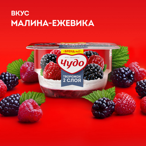 Десерт творожный ЧУДО Творожок взбитый Малина, ежевика двухслойный 4,2%, без змж, 100г, вид