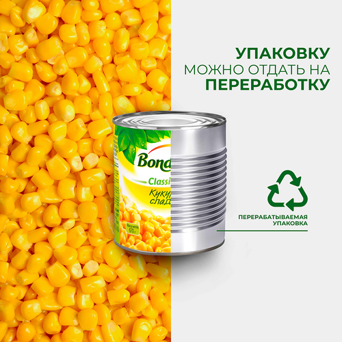 Кукуруза БОНДЮЭЛЬ молодая, 425мл, крупный план