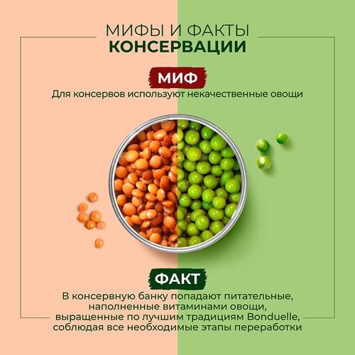 Кукуруза БОНДЮЭЛЬ молодая, 425мл, фотография