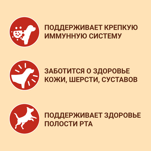 Корм сухой для взрослых собак PURINA ONE Adult Говядина и рис, для средних и крупных пород, 1,8кг, изображение