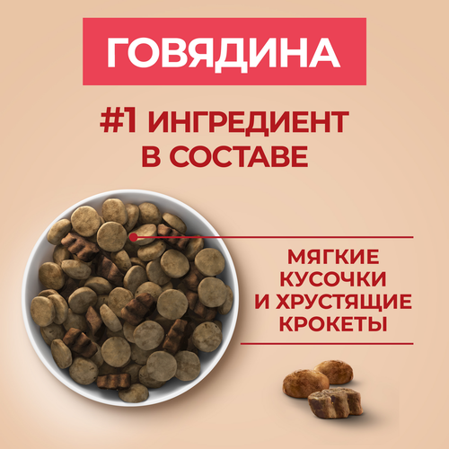 Корм сухой для взрослых собак PURINA ONE Adult Говядина и рис, для средних и крупных пород, 1,8кг, фото
