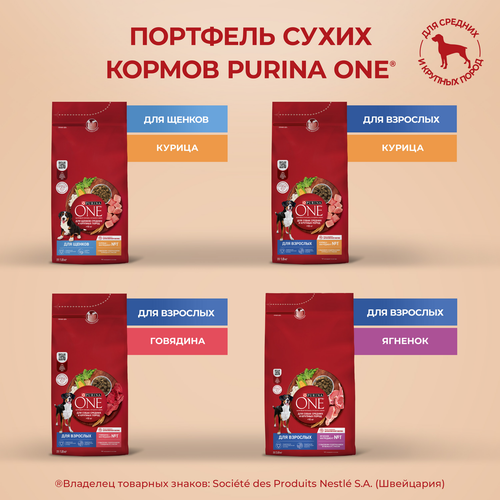Корм сухой для взрослых собак PURINA ONE Adult Говядина и рис, для средних и крупных пород, 1,8кг, вид