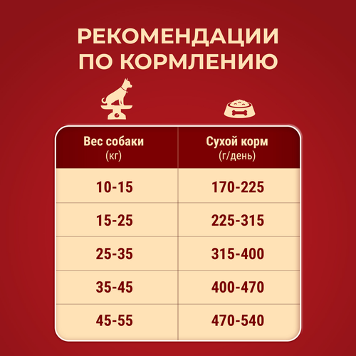 Корм сухой для взрослых собак PURINA ONE Adult Говядина и рис, для средних и крупных пород, 1,8кг, изображение