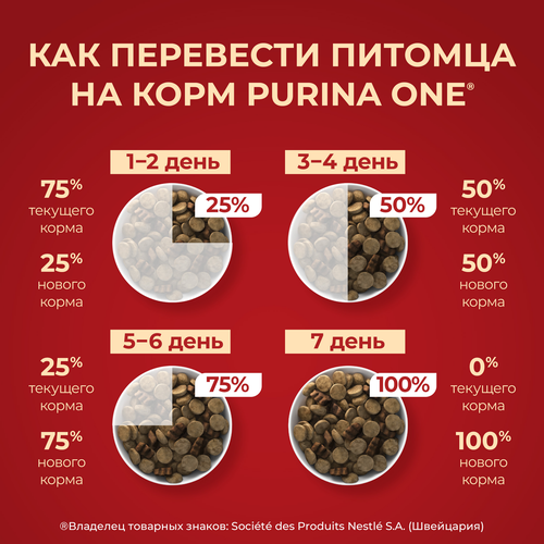 Корм сухой для взрослых собак PURINA ONE Adult Говядина и рис, для средних и крупных пород, 1,8кг, фотография