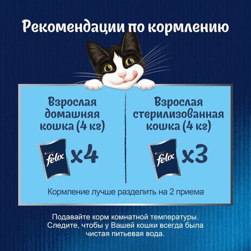 Корм влажный для взрослых кошек FELIX Суп с курицей в соусе, 48г, крупный план