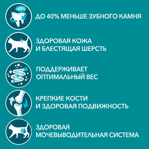 Корм влажный для взрослых кошек PURINA ONE Adult с говядиной и морковью в соусе, 75г, изображение