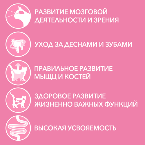 Корм влажный для котят PURINA ONE Kitten с курицей и морковью в соусе, 75г, детальное фото