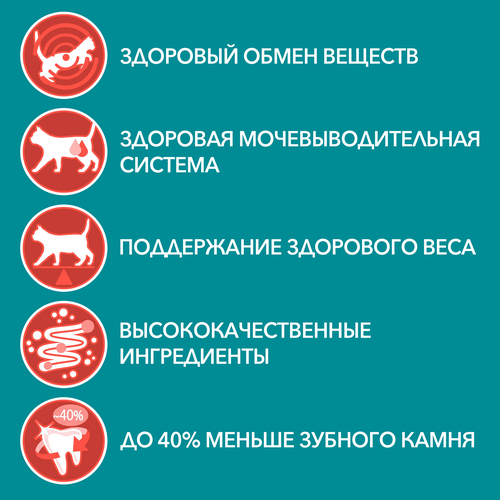 Корм влажный для взрослых кошек PURINA ONE Sterilised с курицей и зеленой фасолью в соусе, 75г, изображение