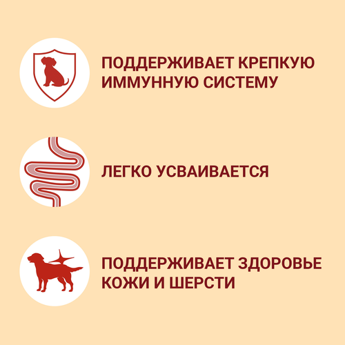Корм влажный для взрослых собак PURINA ONE Mini Активная Говядина, картофель, морковь в подливе, 85г, детальное фото