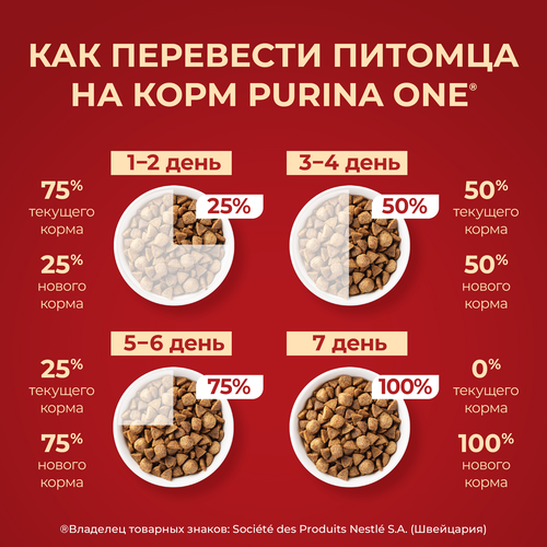 Корм сухой для взрослых собак PURINA ONE Adult Говядина и рис, для мелких и карликовых пород, 1,5кг, фотография