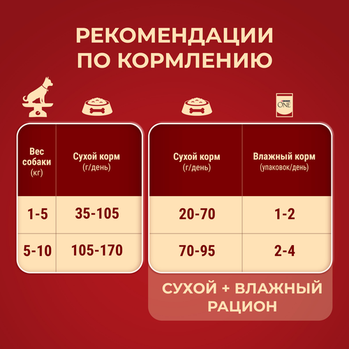 Корм сухой для взрослых собак PURINA ONE Adult Говядина и рис, для мелких и карликовых пород, 1,5кг, детальное фото