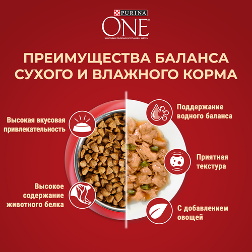 Корм сухой для взрослых собак PURINA ONE Adult Говядина и рис, для мелких и карликовых пород, 1,5кг, картинка