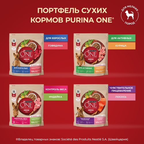 Корм сухой для взрослых собак PURINA ONE Adult Говядина и рис, для мелких и карликовых пород, 1,5кг, детальное фото