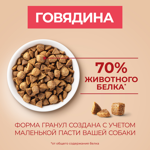 Корм сухой для взрослых собак PURINA ONE Adult Говядина и рис, для мелких и карликовых пород, 1,5кг, изображение