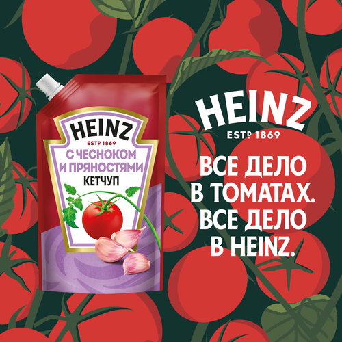 Кетчуп HEINZ с чесноком и пряностями, 320г, крупный план