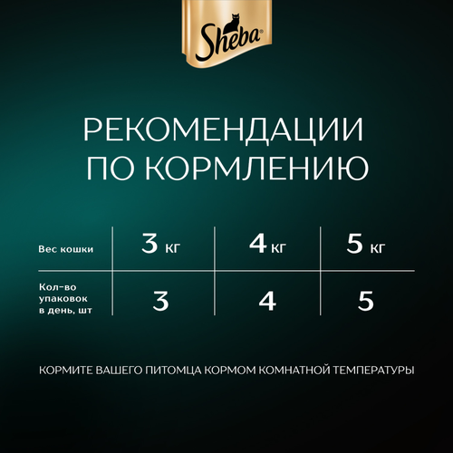 Корм консервированный для взрослых кошек SHEBA ломтики в соусе с лососем, 75г, картинка