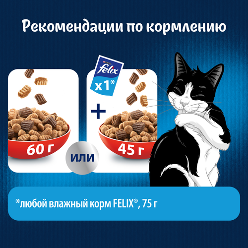 Корм сухой для взрослых кошек FELIX Двойная вкуснятина с мясом, 600г, фото