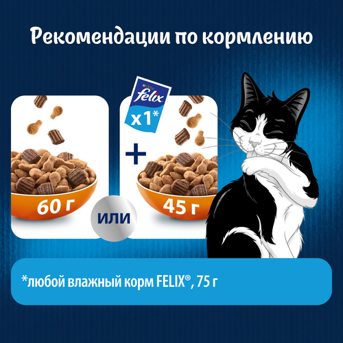 Корм сухой для взрослых кошек FELIX Двойная вкуснятина с птицей, 1,3кг, вид