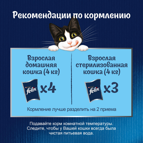 Корм влажный для взрослых кошек FELIX Аппетитные кусочки Форель в желе, 75г, фото