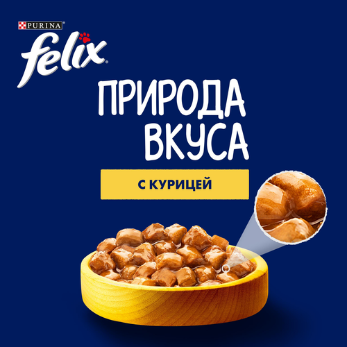 Корм влажный для взрослых кошек FELIX Природа вкуса Курица, 75г, крупный план