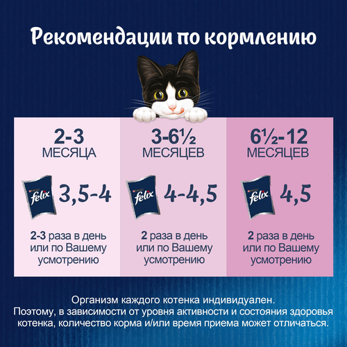 Корм влажный для котят FELIX Аппетитные кусочки Курица в желе, 75г, крупный план