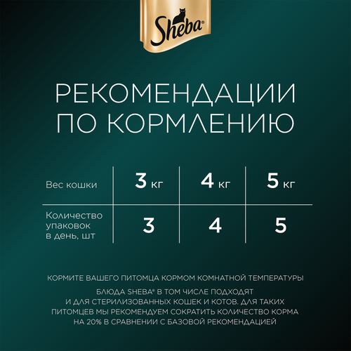 Корм консервированный для кошек SHEBA Нежный паштет в желе Лосось, 75г, изображение